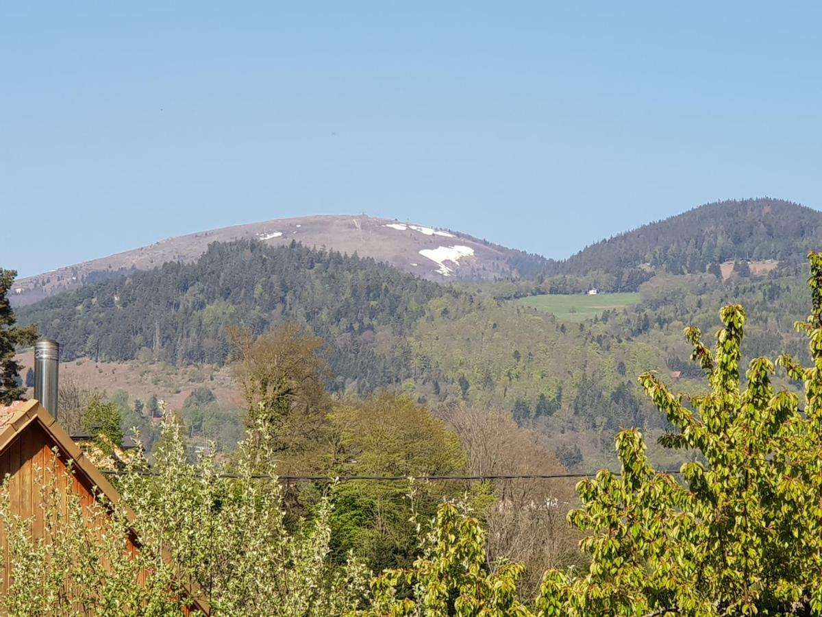 Petit Week End Dans La Vallee Breitenbach-Haut-Rhin Exterior photo